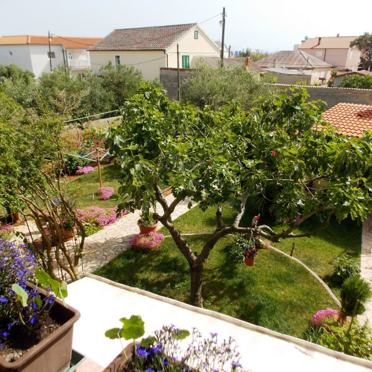 Apartmani Lesičar Vir Horvátország
