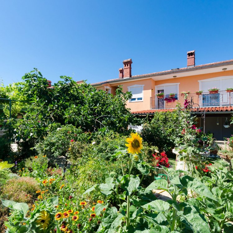 Apartments Sajma Pula Horvátország