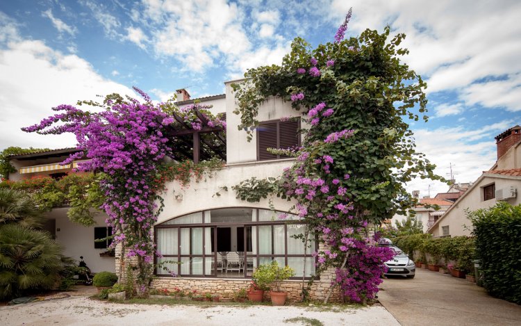 Apartments Sinisa Rovinj Horvátország