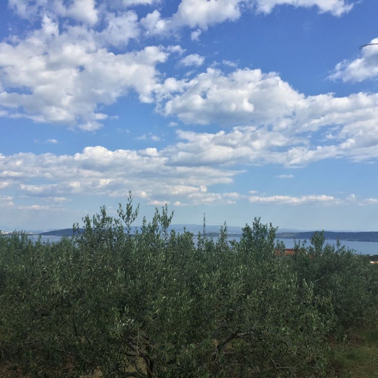 Apartmani Špiro Kaštel Novi Horvátország
