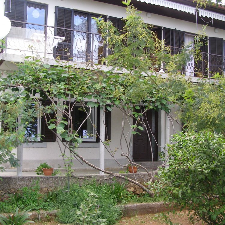 Apartmani Zeljka Opatija Horvátország