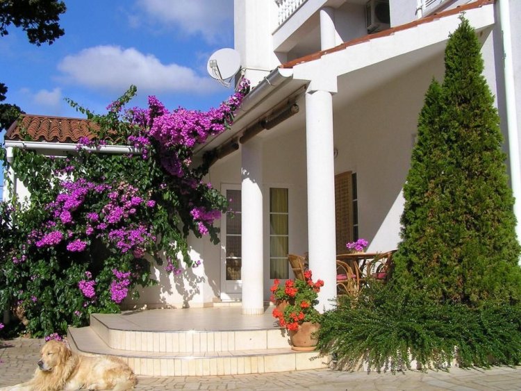 Apartments Paloma Blanca Medulin Horvátország