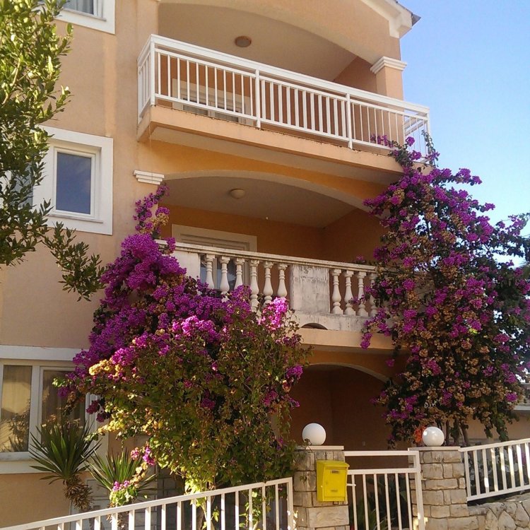 Apartman Dantin Kožino Horvátország