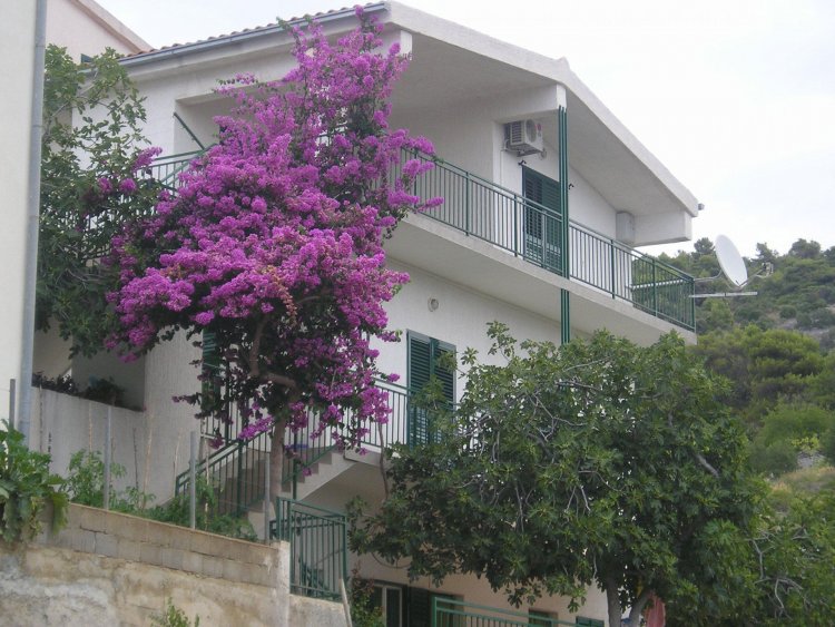 Apartmani Neva Primošten Horvátország