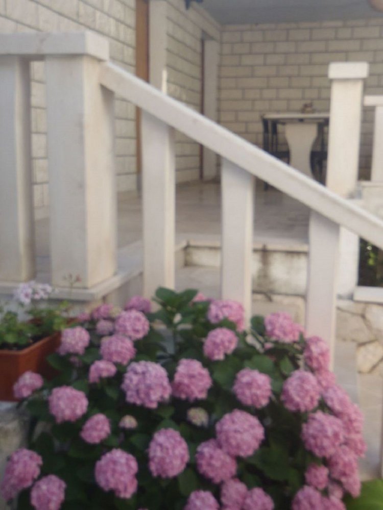 Apartmani Dragomil Sveta Nedelja Horvátország