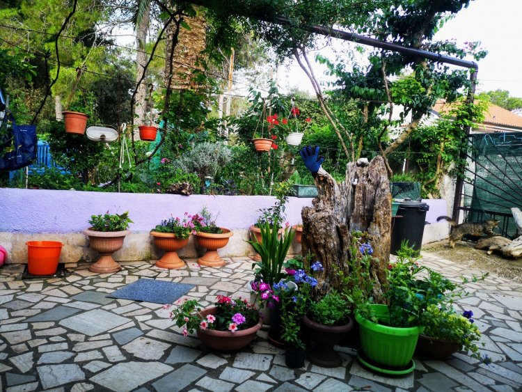 Apartman Babić Mali Lošinj Horvátország