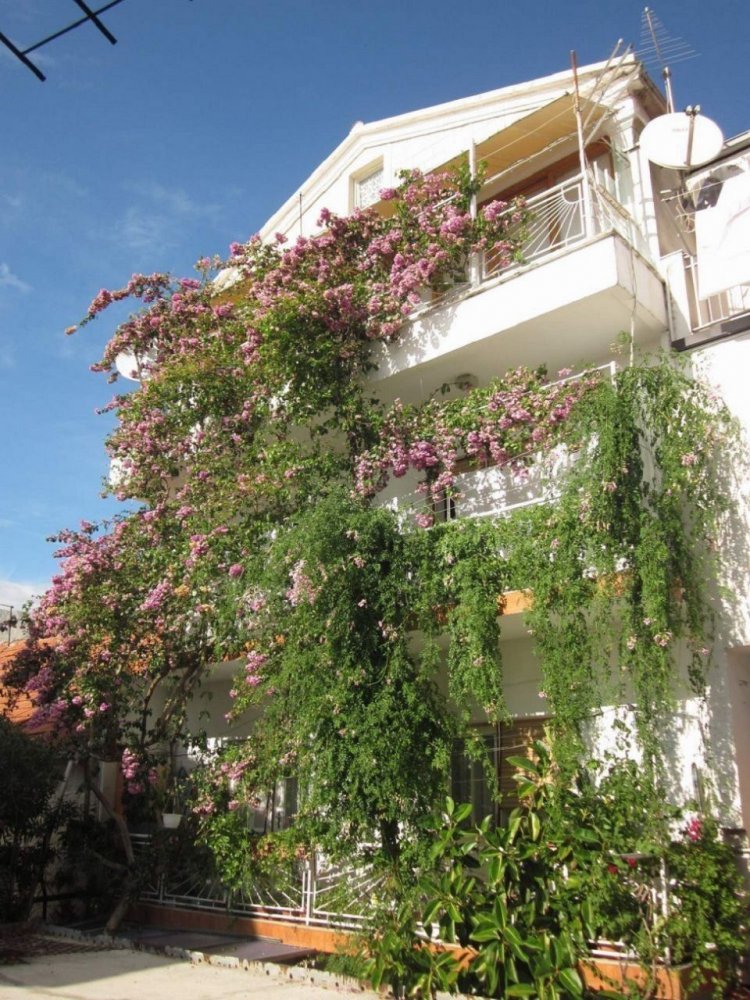 Apartman Graci Gradac Horvátország